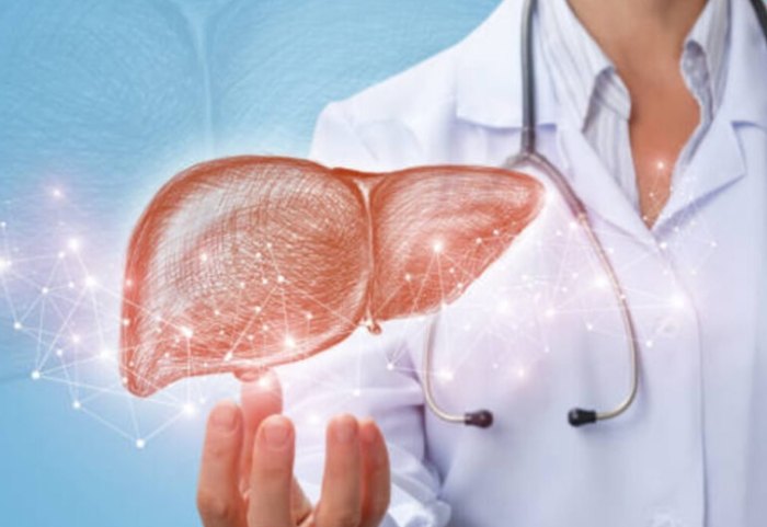 肝結節會消失嗎：深入解析與臨床指引